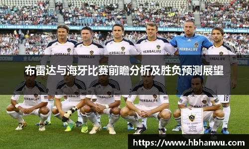 乐虎国际