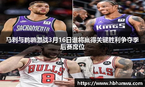 乐虎国际